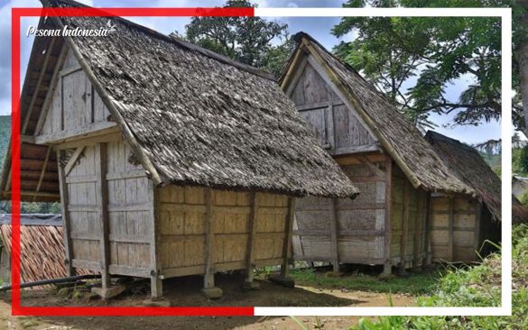 Suku Badui yang pemukimannya di daerah Banten khususnya wilayah pelosok