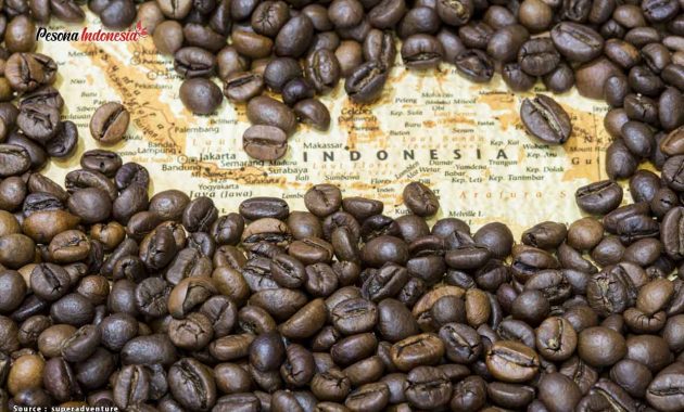 sejarah kopi indonesia